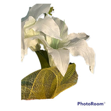 Load image into Gallery viewer, Easter Lily and Cross Grapevine Wreath, Religious Decor